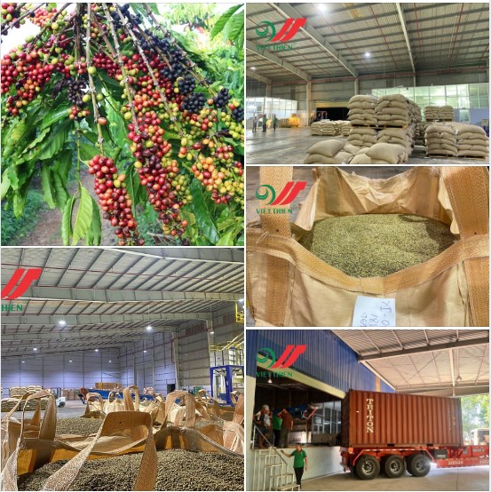 Vietnam coffee