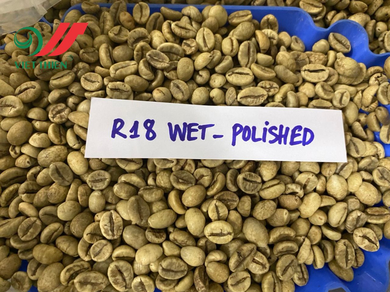 R18WP